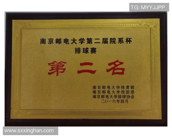 排球心理素质评比揭晓广州排球队荣获第五名的背后故事