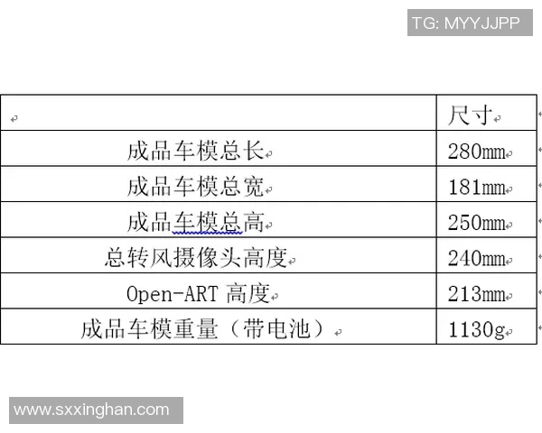重庆飞盘队与上海飞盘队比赛复盘分析及经验总结