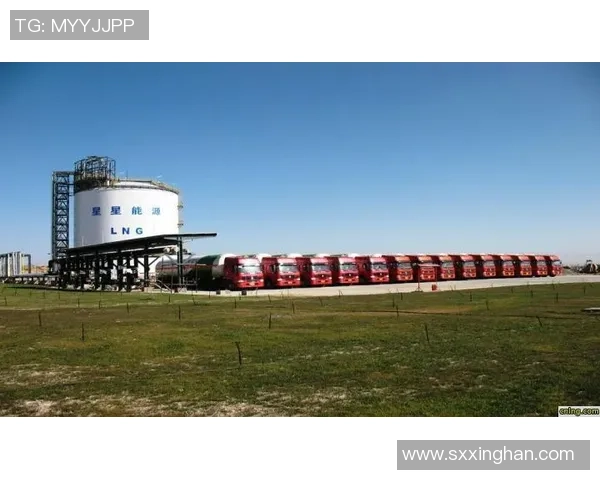 国际邀请赛特别报道：LNG战队的崛起与突破之路全景回顾